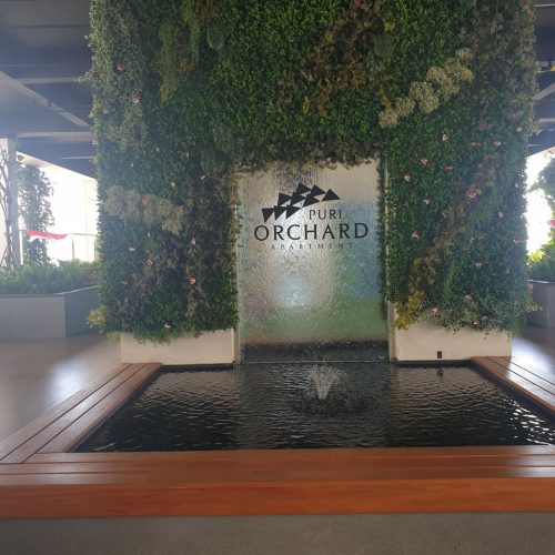 Fish Pond