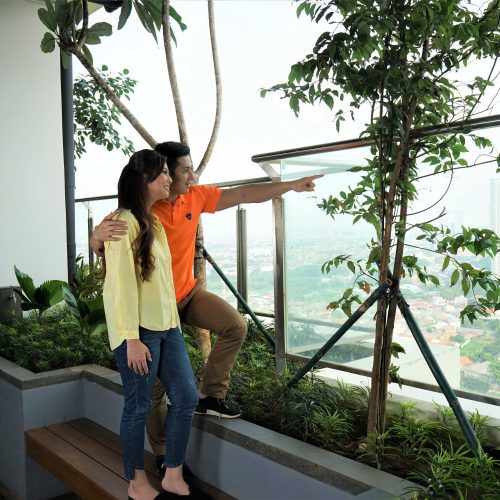 Sky Garden